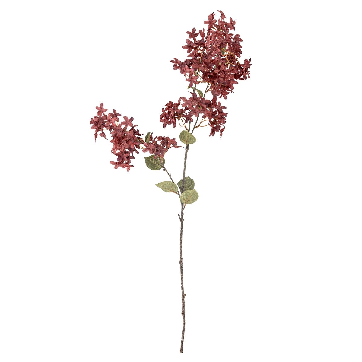 Myrtle stilk, lilla
