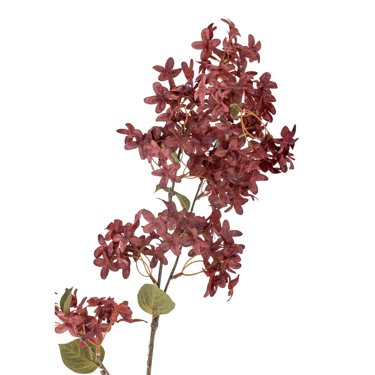 Myrtle stilk, lilla