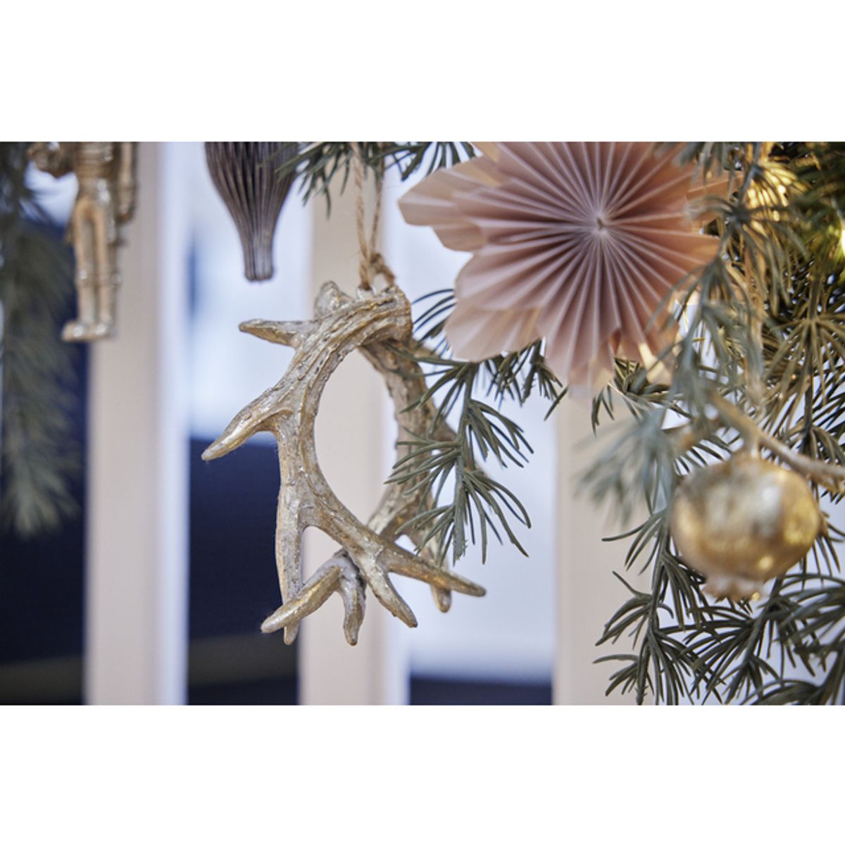 Serafina gevir, lys gull